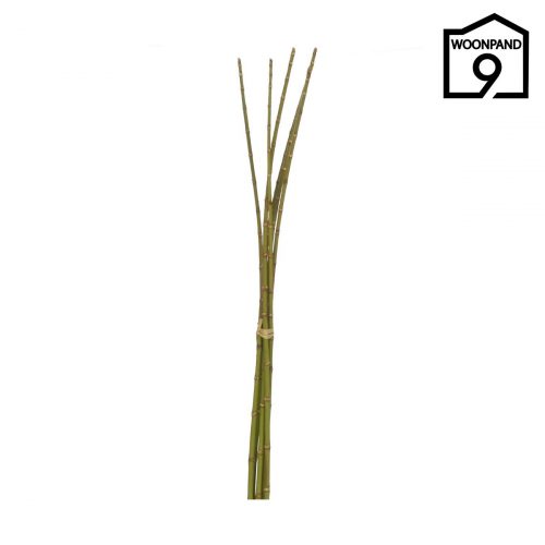Bamboe bundel groen L | Woonpand 9
