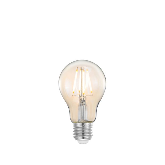 LABEL51 Lichtbronnen Kooldraadlamp - Helder glas - Glas - Bol M